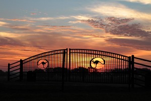 Downunder Horsemanship Ranch