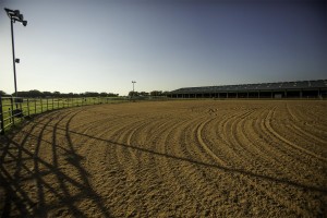 Downunder Horsemanship Ranch