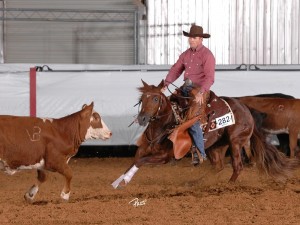 Clinton Anderson & Catnthehat