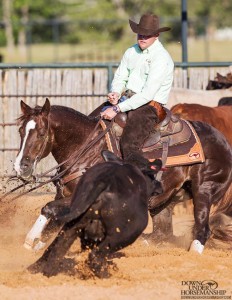 Clinton Anderson Performance Horses
