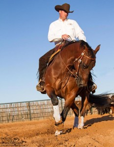 Clinton Anderson Performance Horses
