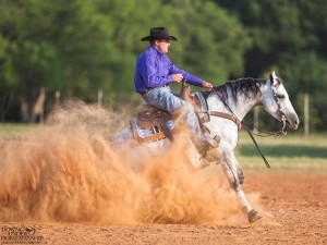 Clinton Anderson Performance Horses