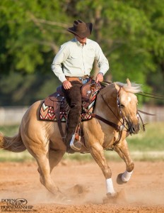 Clinton Anderson Performance Horses