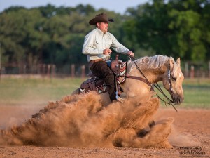 Clinton Anderson Performance Horses