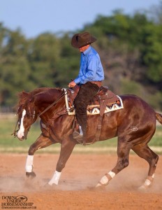 Clinton Anderson Performance Horses