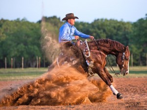 Clinton Anderson Performance Horses