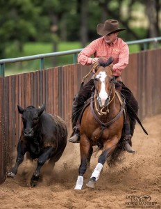 Clinton Anderson Performance Horses