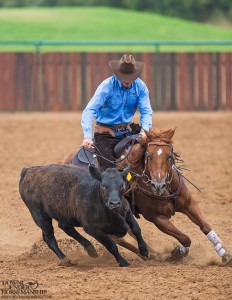 Clinton Anderson Performance Horses
