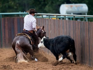 Clinton Anderson Performance Horses