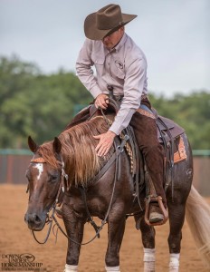 Clinton Anderson Performance Horses