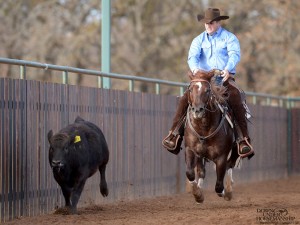 Clinton Anderson