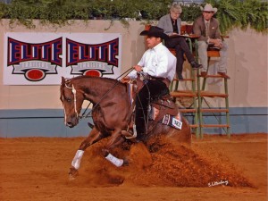 Clinton Anderson Performance Horse Nic N Smart