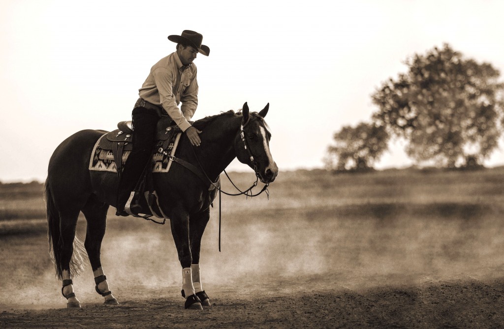 120522_Anderson_390_modified